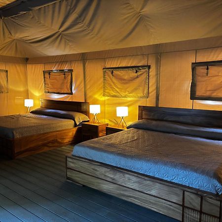 Arenal Backpackers Resort La Fortuna Bagian luar foto