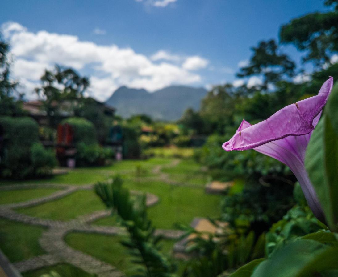 Arenal Backpackers Resort La Fortuna Bagian luar foto View of the San Juan Mountains from the San Juan del Monte