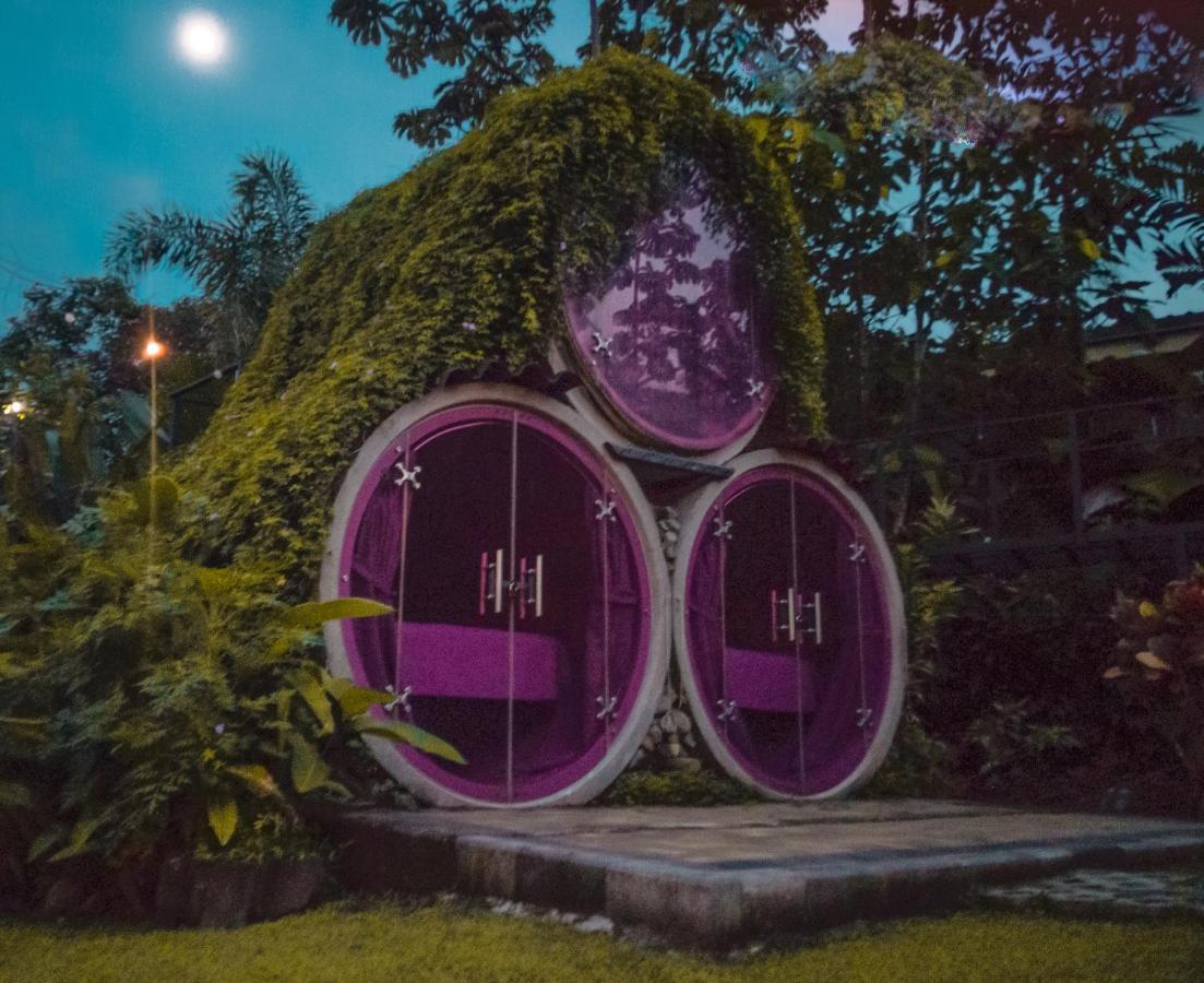 Arenal Backpackers Resort La Fortuna Bagian luar foto The Hobbit Hole
