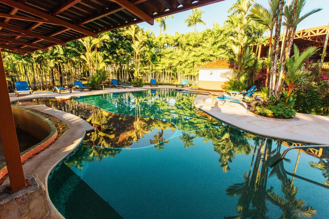 Arenal Backpackers Resort La Fortuna Bagian luar foto The swimming pool at the resort